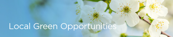 Local green opportunities